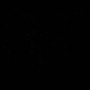 Meet your Posher, Tyrone